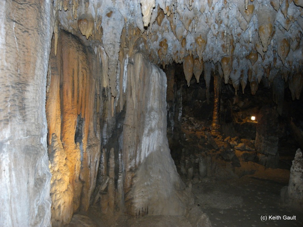 Speleothems (flowstone) in Florida Caverns State Park