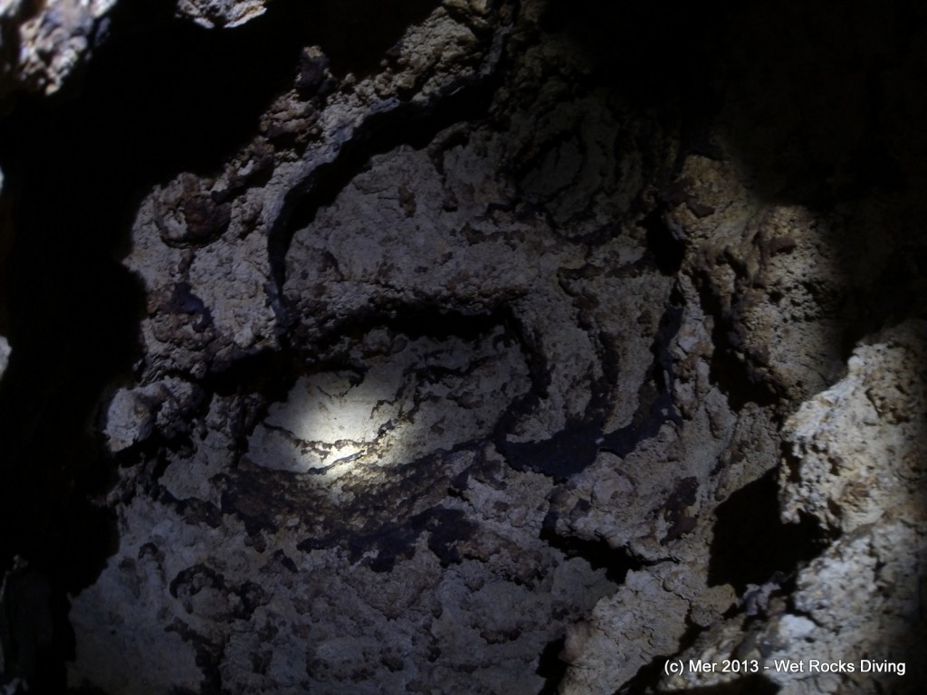 Inside Bat Cave